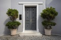 Contemporary Residential Entrance with Gray Front Door and Decorative Windows