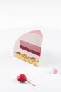 Contemporary Ruby Chocolate Multy Layered Dome Mousse Cake