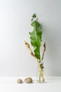 Contemporary still life with horseradish in glass jar and two little stones on white background