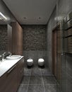 Contemporary style bathroom Royalty Free Stock Photo