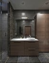Contemporary style bathroom Royalty Free Stock Photo