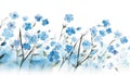 Contemporary Style Forget-Me-Not Cluster on Sky Blue and White Background for Invitations and Posters.