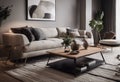 Contemporary stylish living room interior with sofa, coffe table, side table floor light and rug.