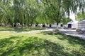 Contemporary yurt in willow forest, adobe rgb