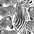 Contemporary zebra seamless patter. Black and White Fabric Pattern Design. Illustration of seamless zebra pattern