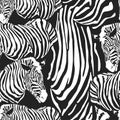 Contemporary zebra seamless patter. Black and White Fabric Pattern Design. Illustration of seamless zebra pattern