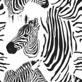 Contemporary zebra seamless patter. Black and White Fabric Pattern Design. Illustration of seamless zebra pattern, vector
