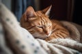 Content cat curled up on a cozy lap, providing comfort and relaxation after a long day. Generative AI Royalty Free Stock Photo