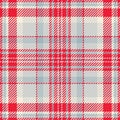 Content check seamless texture, warmth tartan background vector. Workshop textile plaid pattern fabric in red and light gray