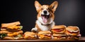 Content corgi dog beside a tempting plate of cheeseburgers. AI generative