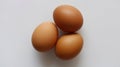 The content of omega 3 in chicken eggs