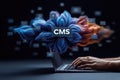 Content system design: management portal, web module, file organizer, user dashboard, data handler, page editor Royalty Free Stock Photo