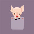 A contented cute pig in a blue denim pocket with a red Bank around its neck and a background Vector illustration Royalty Free Stock Photo