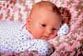 Contented Newborn Royalty Free Stock Photo