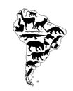 Continent map Southern America vector contour silhouette with wild animals. Travel destination for tourist.