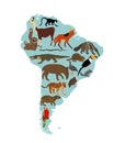 Continent map Southern America vector illustration with wild animals. Travel destination for tourist.