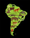 Continent map Southern America vector illustration with wild animals. Travel destination for tourist.