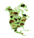 Continent Northern America vector map silhouette illustration with wild animals, isolated on white background.