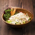 Continental Checken salad with cucumber, tomato, carrot and salad leaves served in dish isolated on table top view green food Royalty Free Stock Photo