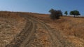 In continental climate, dirt road, path stabilized road, off-road road