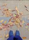 Continuing steps in the middle of the fall of the leaves. Royalty Free Stock Photo