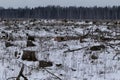 Continuous deforestation in winter