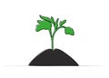 continuous drawing of a tomato sprout in the ground.