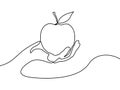 Continuous line apple in hand. Vector illustration.