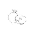 Continuous line apple and sliced apple. Vector illustration.