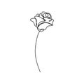 Simple Continuous line art drawing of flower vector illustration. Minimalist hand drawn one single stripe design isolated on white Royalty Free Stock Photo