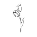 Continuous line art drawing of minimal flower hand drawn vector illustration single one design