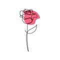 Continuous line art drawing of rose flower blooming minimalist design vector illustration Royalty Free Stock Photo