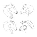 Continuous line art, hand drawn horse head. Royalty Free Stock Photo