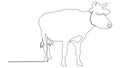 Continuous line A beautiful cow is standing. Drawing black thin line on white background