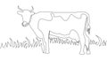 Continuous line A beautiful cow is standing. Drawing black thin line on white background