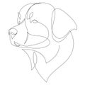Continuous line Bernese Mountain Dog. Single line minimal style dog vector illustration. Portrait