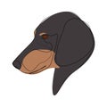 Continuous line Black Dachshund. Single line minimal style dog vector illustration. Portrait