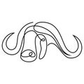 Continuous line buffalo or bull head. Single line vector illustration.