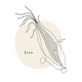 Continuous line corn, grain crop. Vector line art. Perfect for logo, packaging design, icon