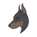 Continuous line Doberman Pinscher. Single line minimal style Doberman dog vector illustration. Portrait