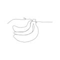 Continuous line drawing of bananas. isolated sketch drawing of bananas line concept. outline thin stroke vector illustration Royalty Free Stock Photo