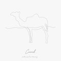 Continuous line drawing. camel. simple vector illustration. camel concept hand drawing sketch line