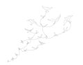 Continuous line drawing with A flock of flying birds. Freedom Line art. Black and White vector design Royalty Free Stock Photo