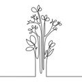 Continuous line drawing of flowers Royalty Free Stock Photo