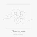 Continuous line drawing. flowers in frame. simple vector illustration. flowers in frame concept hand drawing sketch line Royalty Free Stock Photo