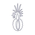 Continuous line drawing of half pineapple concept of fruit vector illustration