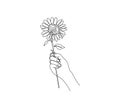 Continuous line drawing of hand holding sunflower. sunflower simple line art with active stroke. Florist concept