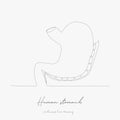 Continuous line drawing. human stomach. simple vector illustration. human stomach concept hand drawing sketch line