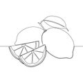Continuous line drawing Lemon lime fruits icon vector illustration concept