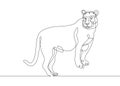 Continuous line drawing lioness and tiger